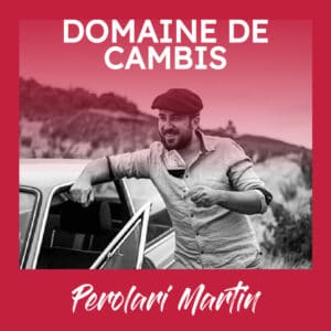 DOMAINE_CAMBIS-C-100